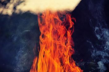 the bright flames - Free image #304739